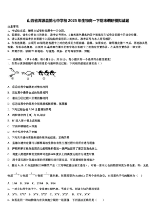 山西省浑源县第七中学校2025年生物高一下期末调研模拟试题含解析