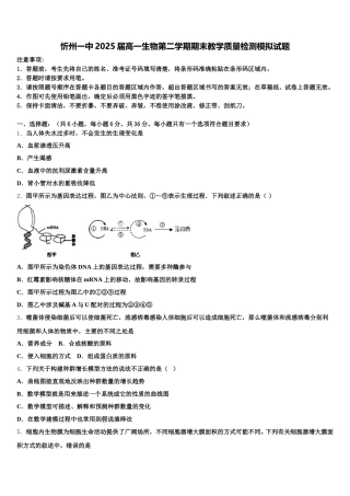 忻州一中2025届高一生物第二学期期末教学质量检测模拟试题含解析