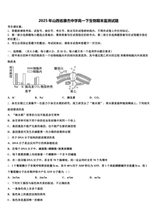 2025年山西省康杰中学高一下生物期末监测试题含解析