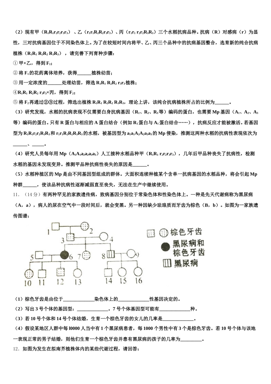 2025届山西省晋中市平遥中学生物高一下期末复习检测试题含解析_第3页