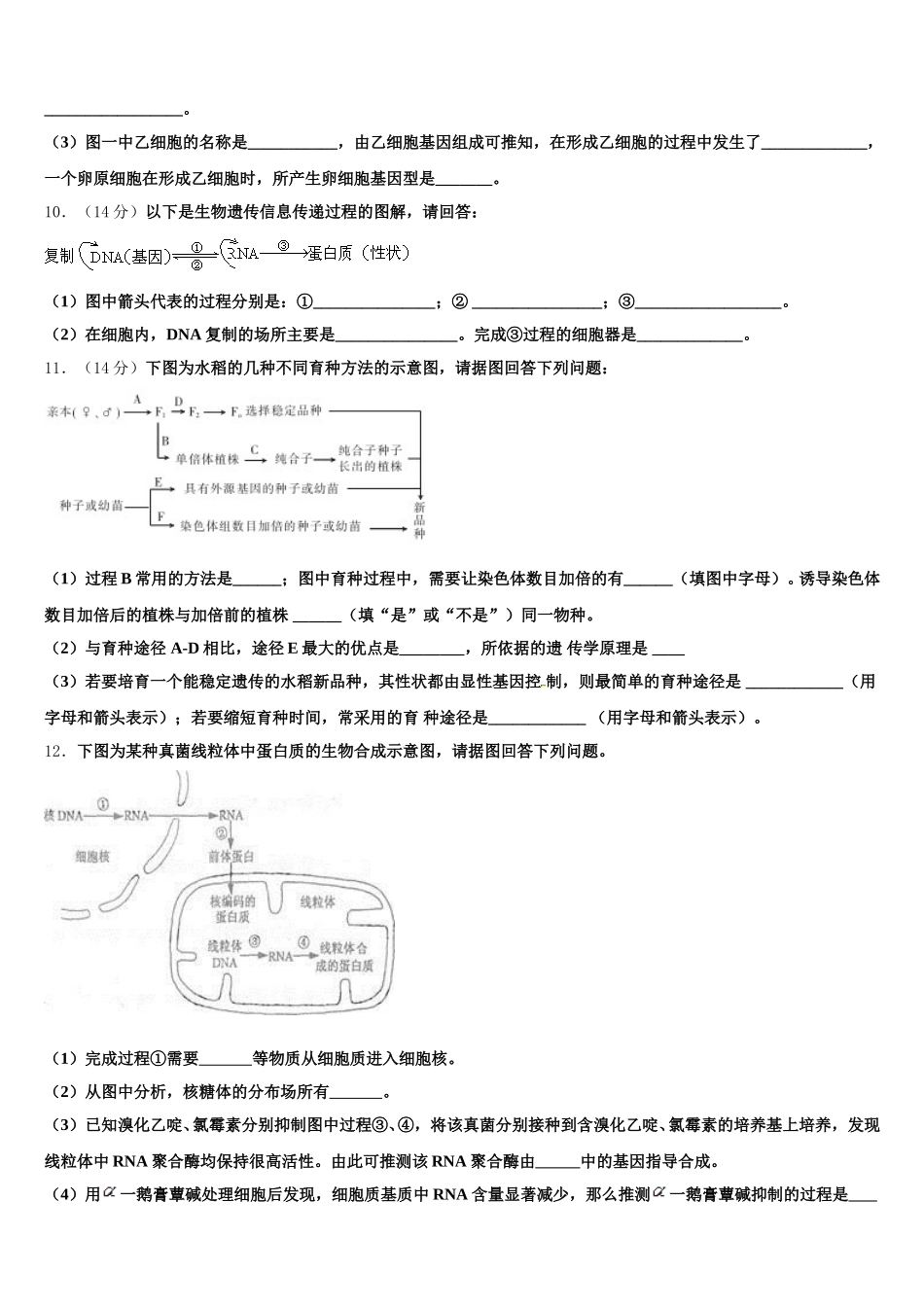 山西省临晋中学2024-2025学年高一下生物期末经典模拟试题含解析_第3页
