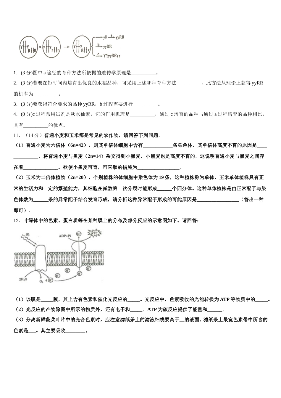 2025届山西省临汾同盛实验中学生物高一第二学期期末调研模拟试题含解析_第3页