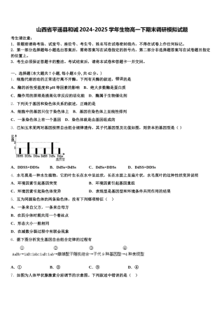 山西省平遥县和诚2024-2025学年生物高一下期末调研模拟试题含解析
