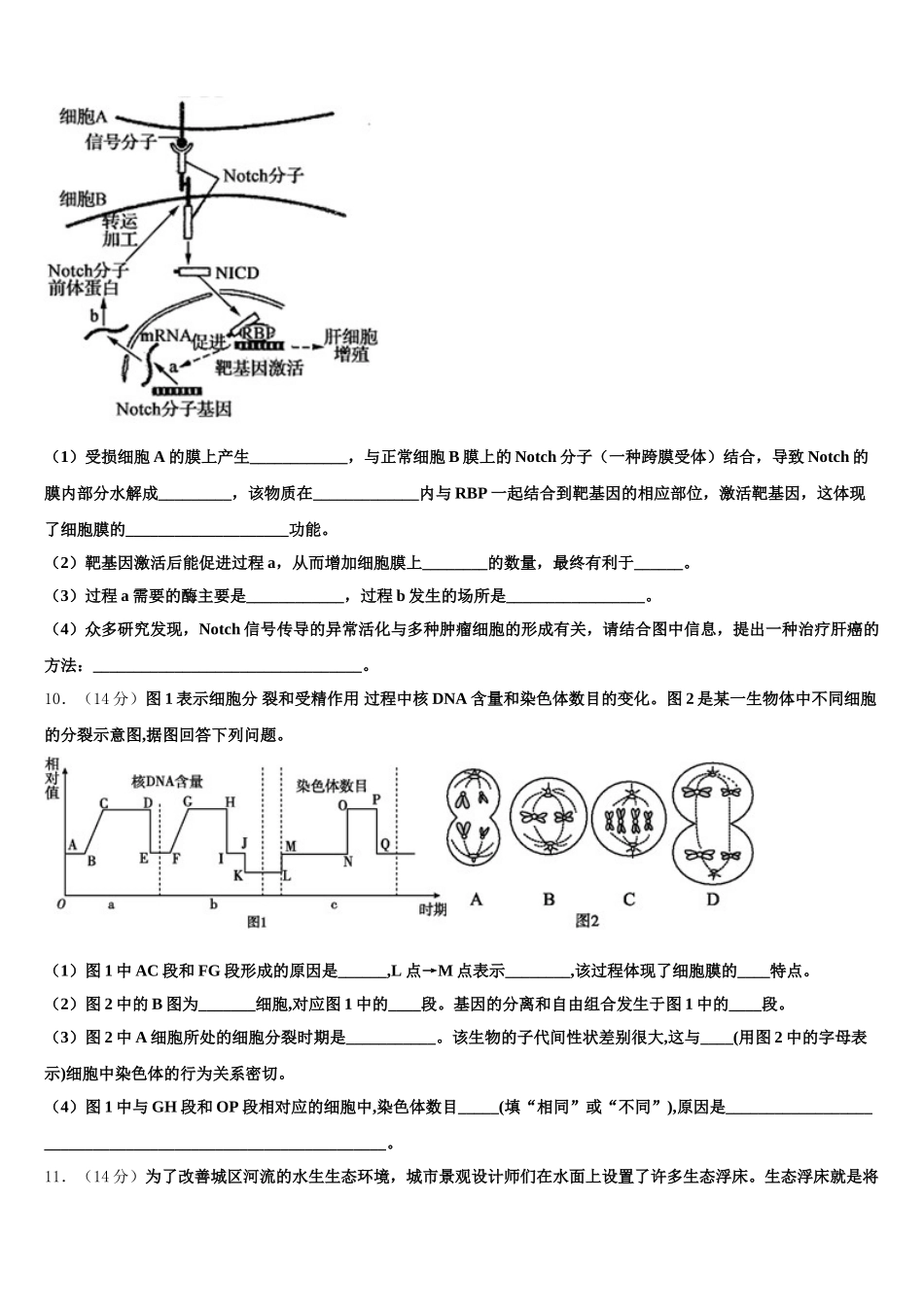 山西省忻州市忻州一中2025年高一下生物期末教学质量检测模拟试题含解析_第3页