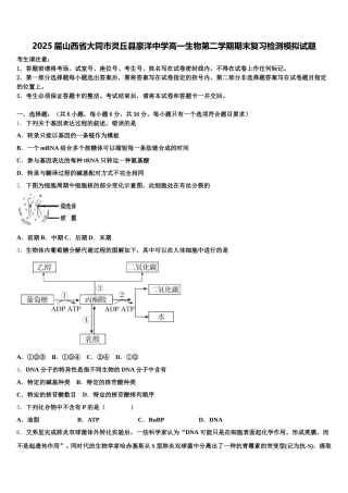 2025届山西省大同市灵丘县豪洋中学高一生物第二学期期末复习检测模拟试题含解析