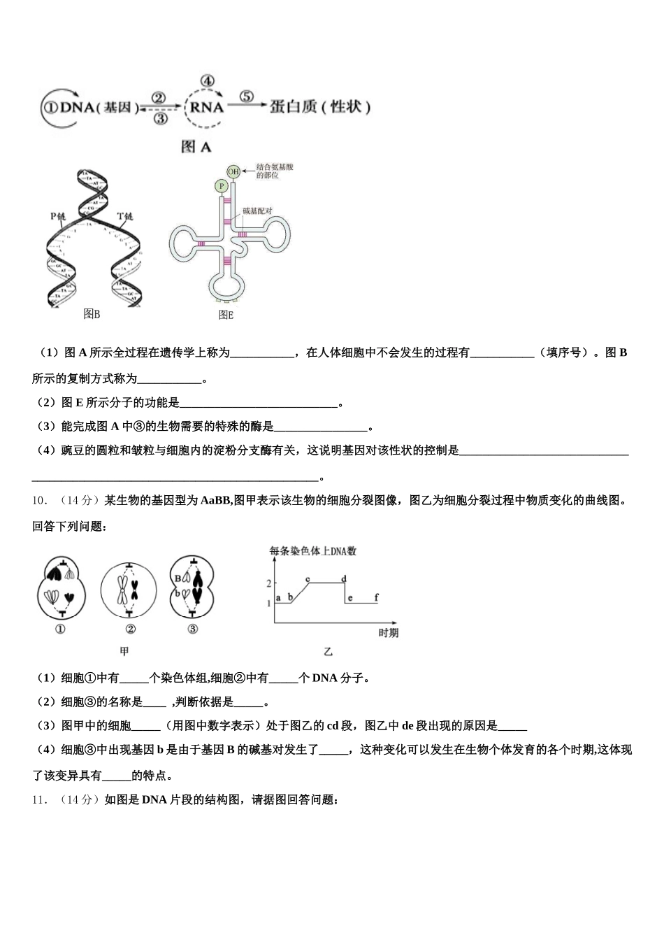 山西省忻州市静乐县第一中学2024-2025学年高一生物第二学期期末质量检测模拟试题含解析_第3页