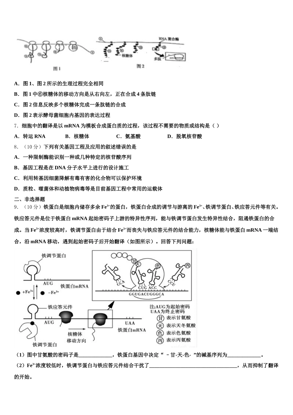 2025年河北艺术职业中学高一下生物期末统考模拟试题含解析_第2页