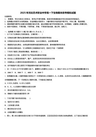 2025年河北艺术职业中学高一下生物期末统考模拟试题含解析