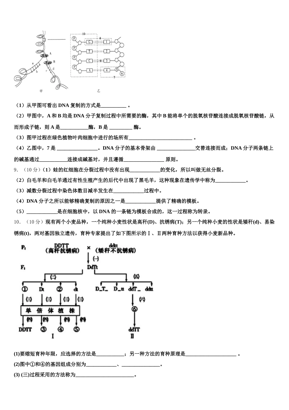 2024-2025学年河北省辛集中学生物高一第二学期期末学业水平测试模拟试题含解析_第3页
