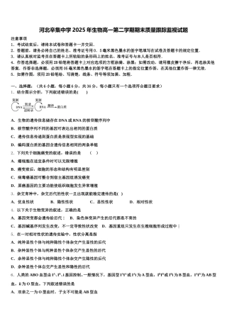河北辛集中学2025年生物高一第二学期期末质量跟踪监视试题含解析
