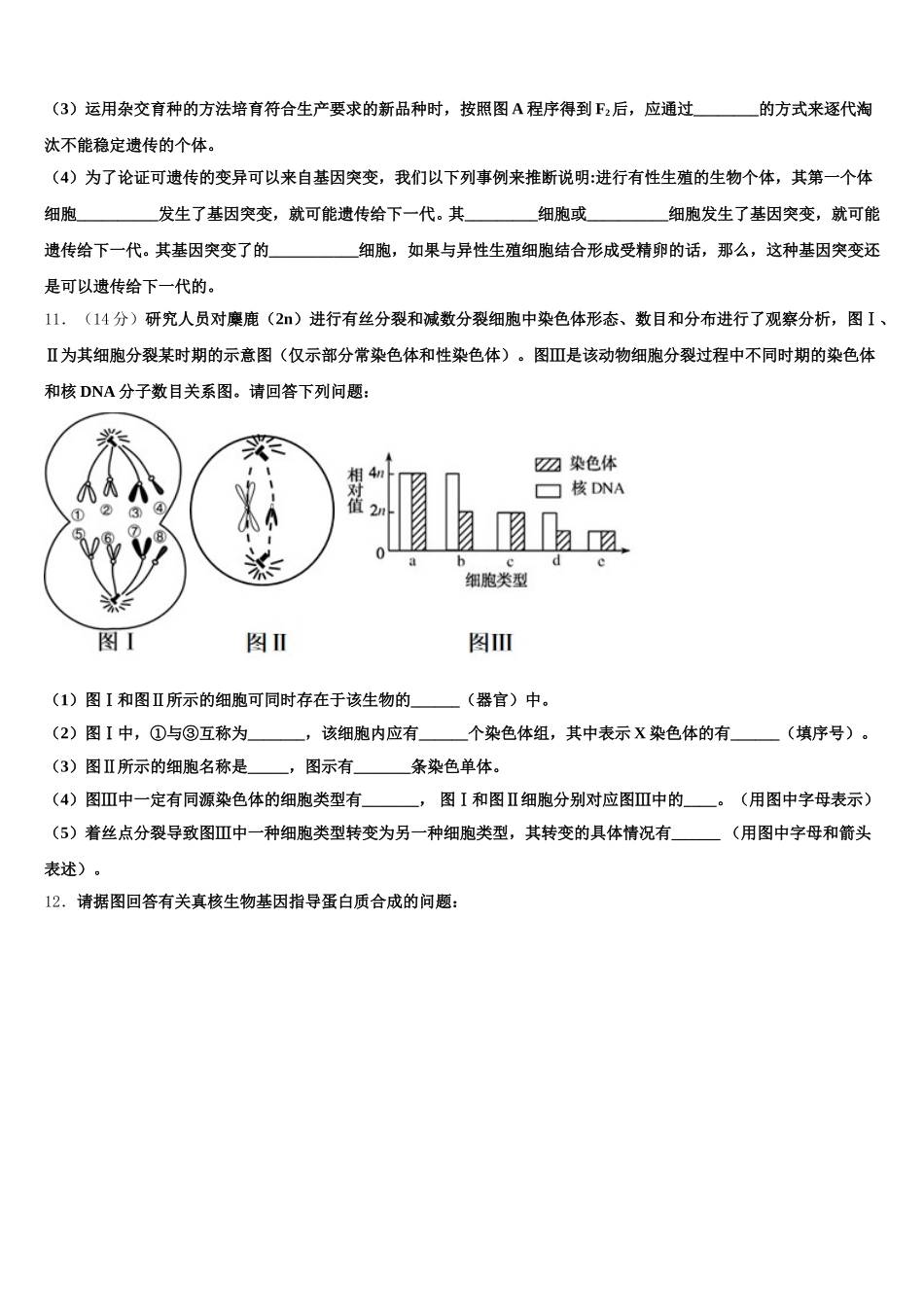 2025届河北省石家庄高一生物第二学期期末调研模拟试题含解析_第3页