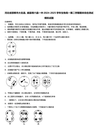 河北省邯郸市大名县、磁县等六县一中2024-2025学年生物高一第二学期期末综合测试模拟试题含解析