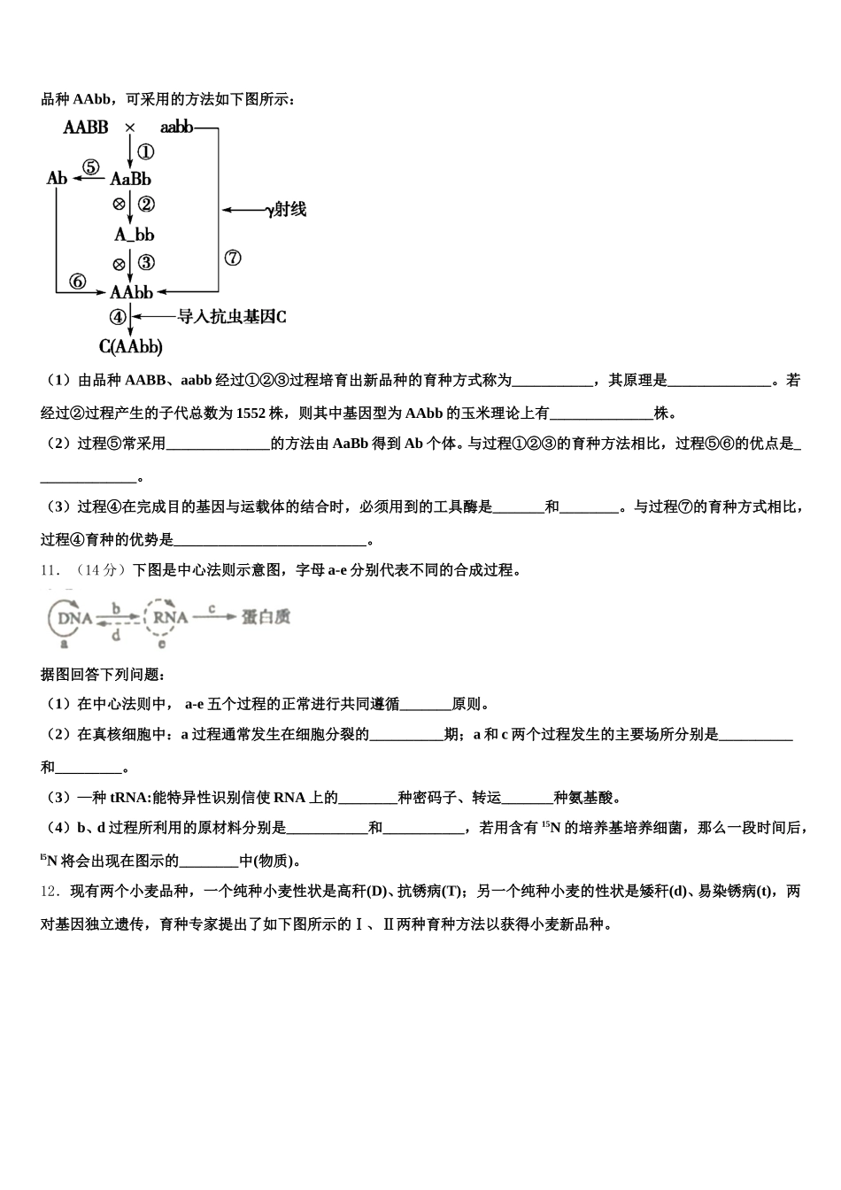 河北省承德市鹰城一中2025届高一生物第二学期期末质量检测试题含解析_第3页