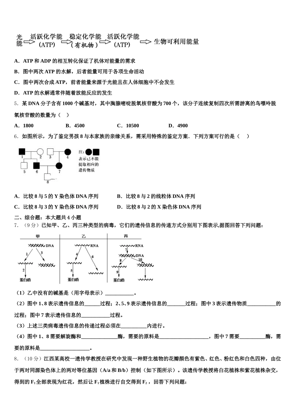 河北省2024-2025学年高一生物第二学期期末学业质量监测模拟试题含解析_第2页