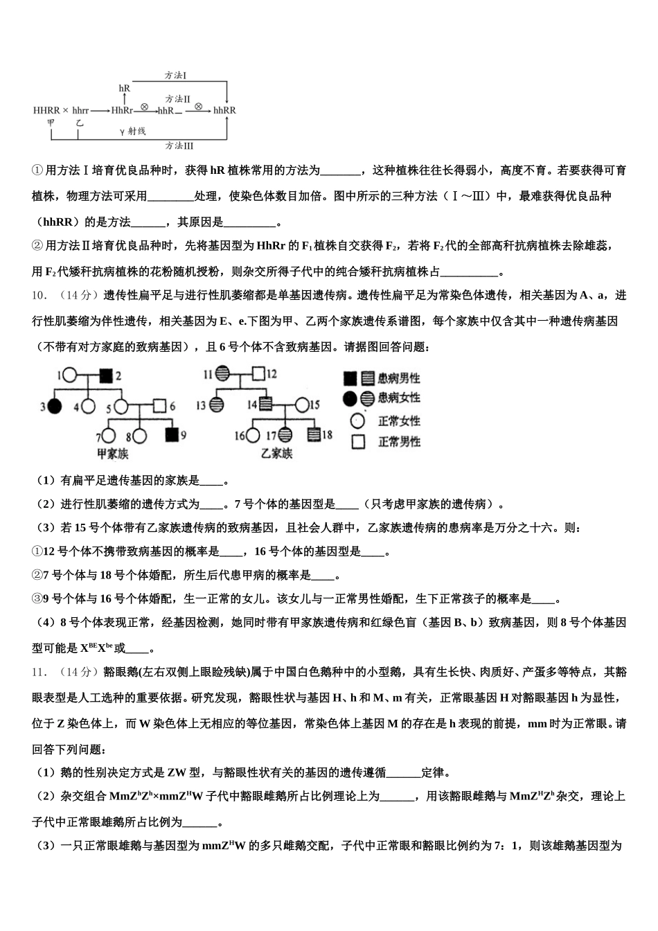 河北省衡水市故城县高级中学2024-2025学年高一下生物期末复习检测试题含解析_第3页