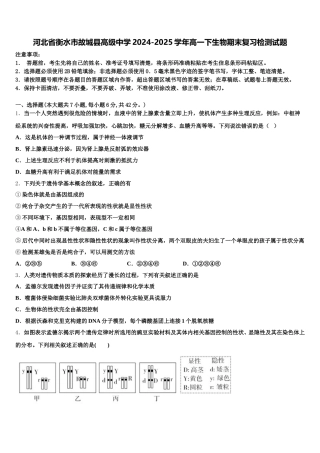 河北省衡水市故城县高级中学2024-2025学年高一下生物期末复习检测试题含解析