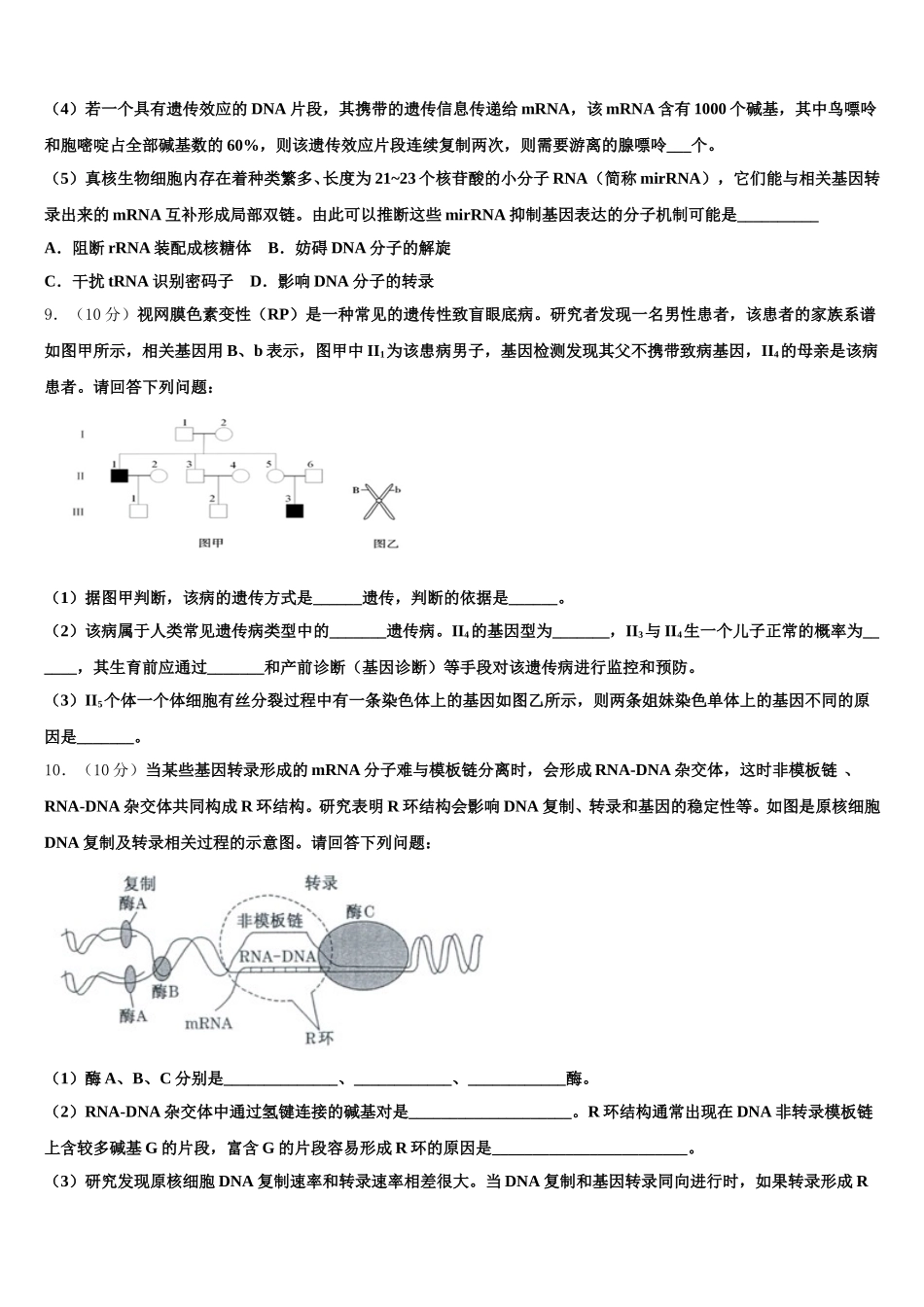 2025届河北省衡水市第二中学生物高一下期末达标检测模拟试题含解析_第3页