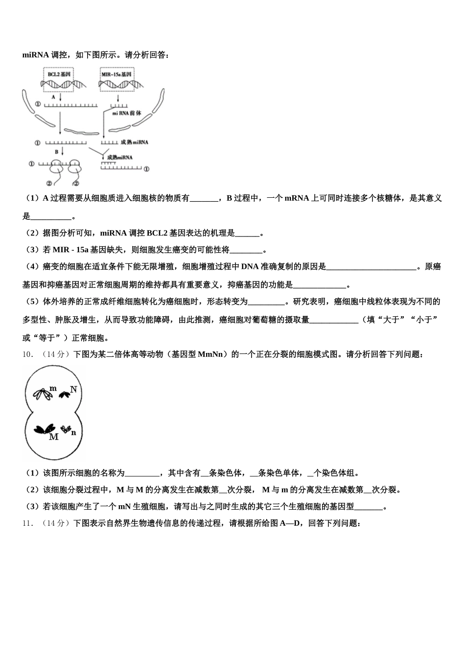 2025届河北省大名县一中高一生物第二学期期末监测模拟试题含解析_第3页