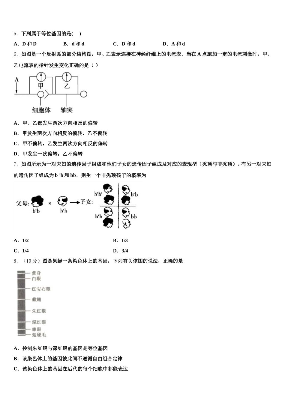 2025届河北省石家庄市晋州一中实验班高一下生物期末质量检测试题含解析_第2页