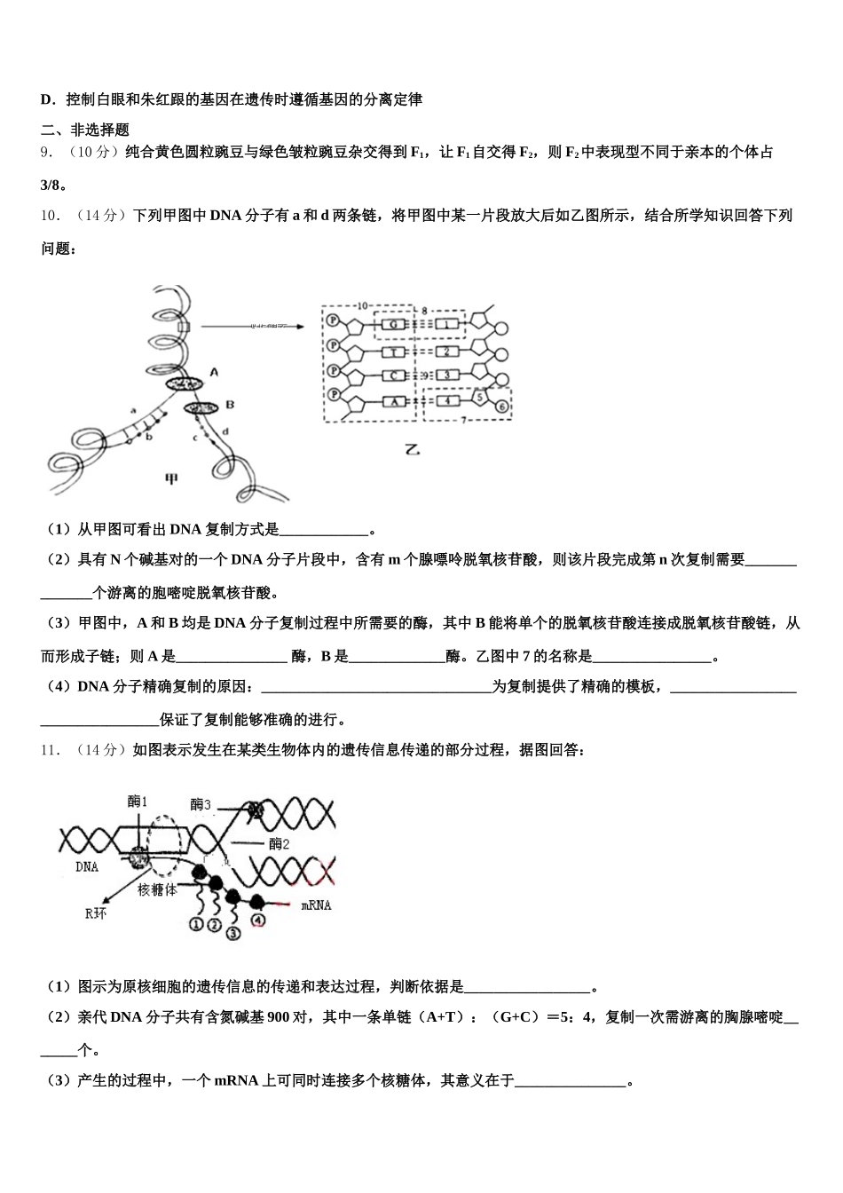 2025届河北省石家庄市晋州一中实验班高一下生物期末质量检测试题含解析_第3页