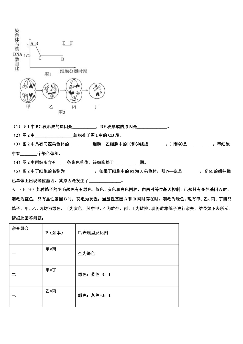 2025年河北省唐山市曹妃甸区第一中学高一下生物期末检测模拟试题含解析_第3页