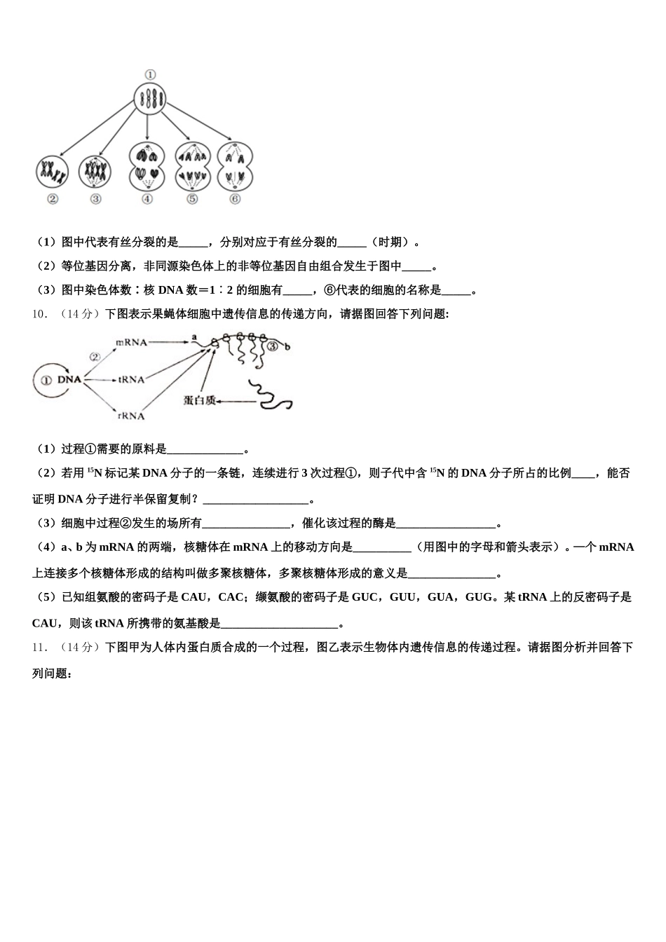 河北省遵化市2025届高一下生物期末考试试题含解析_第3页