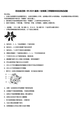 河北省迁西一中2025届高一生物第二学期期末综合测试试题含解析