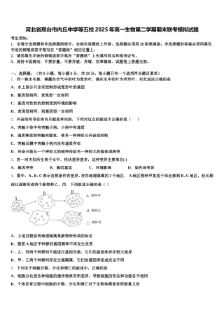 河北省邢台市内丘中学等五校2025年高一生物第二学期期末联考模拟试题含解析