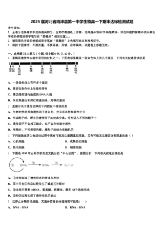 2025届河北省鸡泽县第一中学生物高一下期末达标检测试题含解析