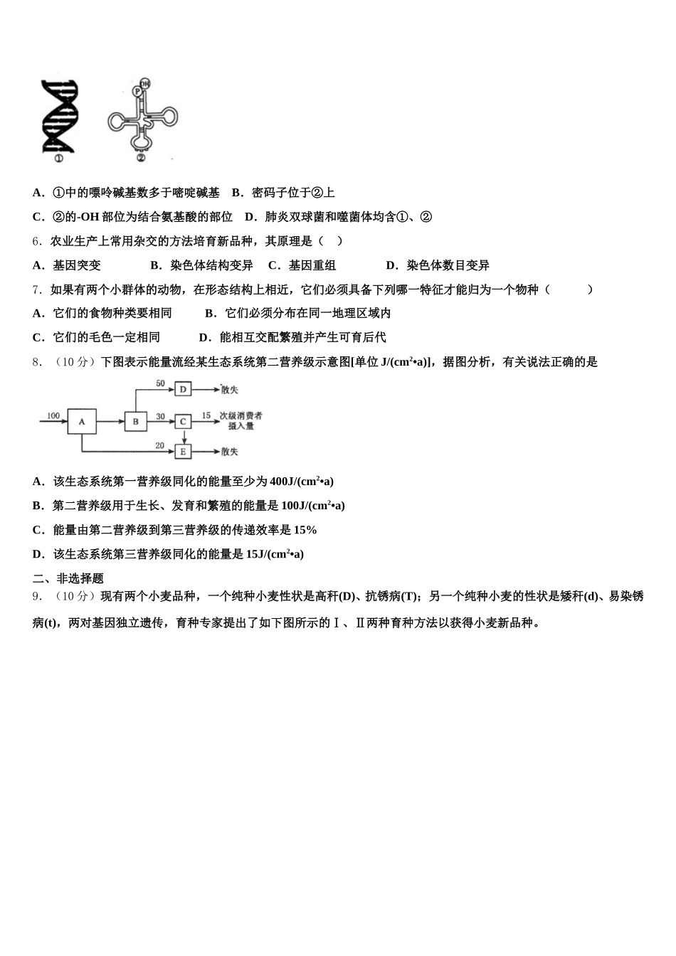 2025年衡水中学生物高一第二学期期末学业水平测试试题含解析_第2页
