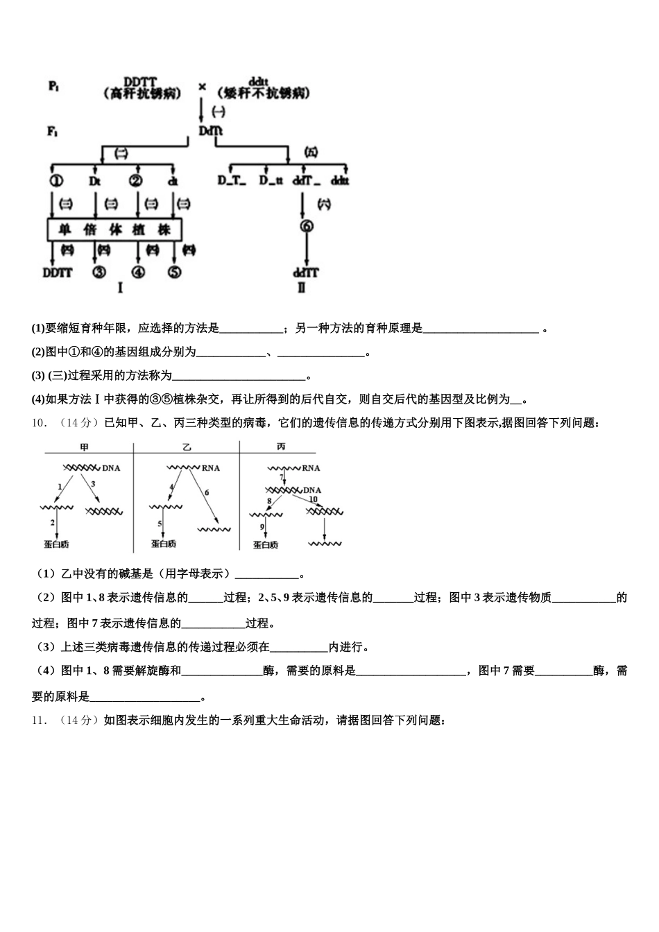 2025年衡水中学生物高一第二学期期末学业水平测试试题含解析_第3页