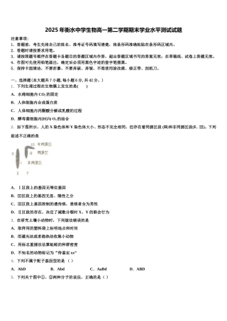 2025年衡水中学生物高一第二学期期末学业水平测试试题含解析