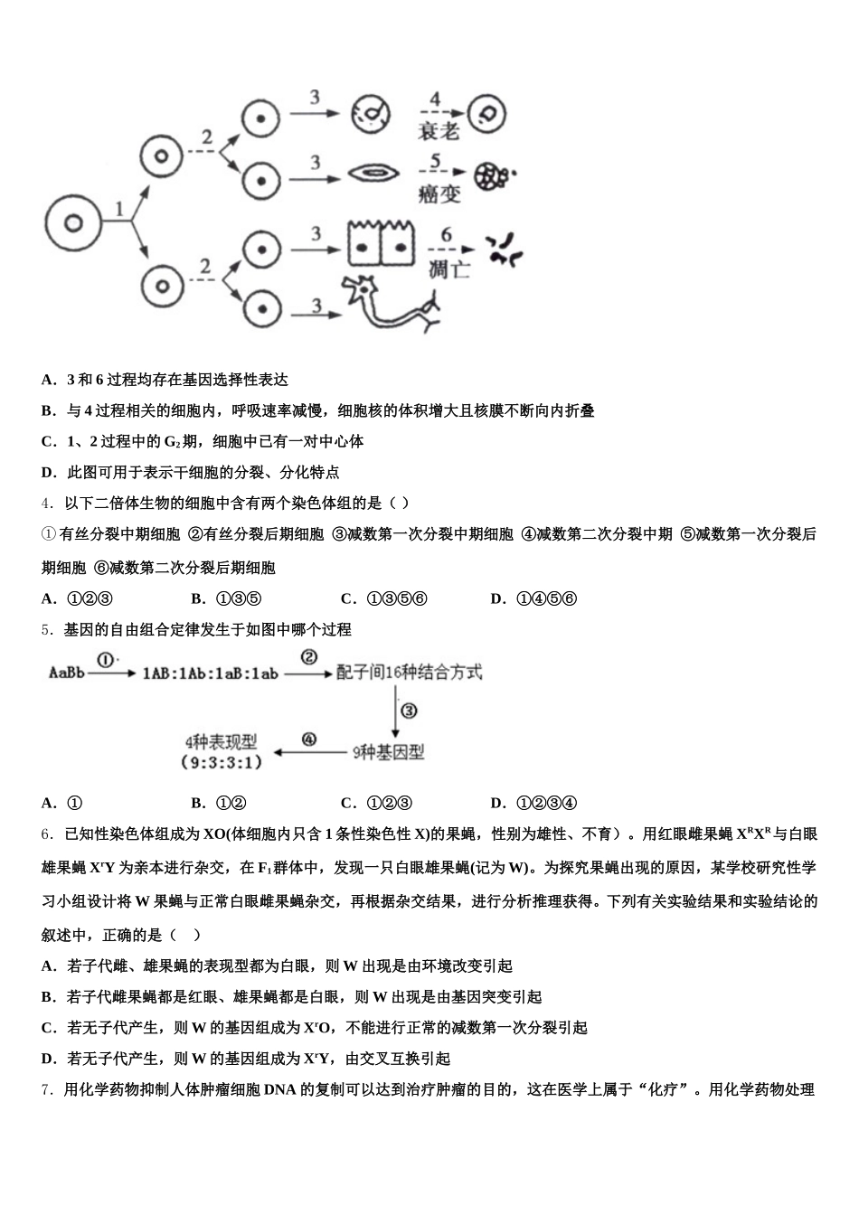 河北省承德市第一中学2024-2025学年生物高一第二学期期末检测模拟试题含解析_第2页