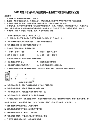 2025年河北省沧州市六校联盟高一生物第二学期期末达标测试试题含解析
