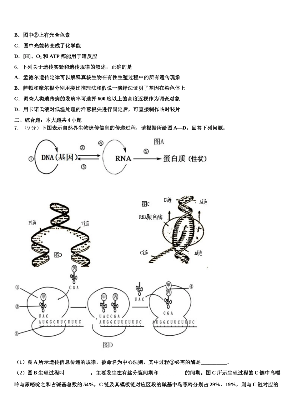 2025年河北省邢台市南和县第一中学生物高一下期末考试试题含解析_第2页