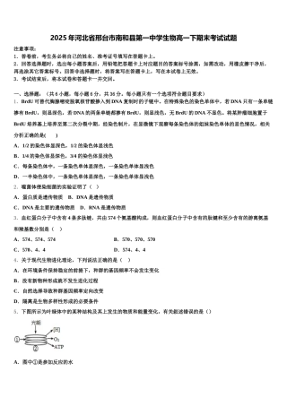 2025年河北省邢台市南和县第一中学生物高一下期末考试试题含解析