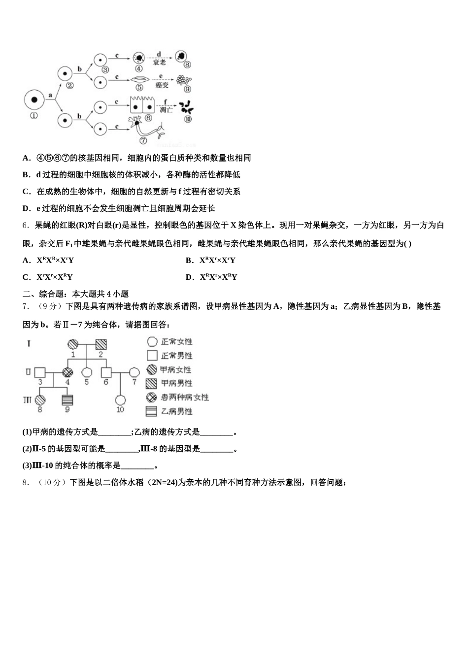 河北省石家庄市康福外国语学校2024-2025学年高一生物第二学期期末检测试题含解析_第2页