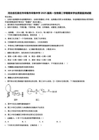 河北省石家庄市辛集市辛集中学2025届高一生物第二学期期末学业质量监测试题含解析