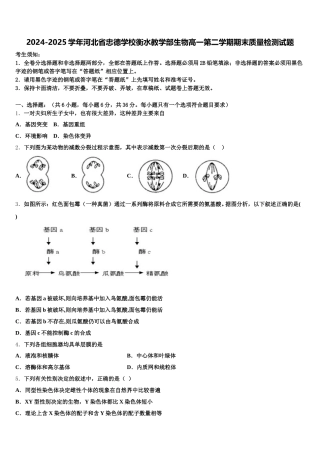 2024-2025学年河北省忠德学校衡水教学部生物高一第二学期期末质量检测试题含解析