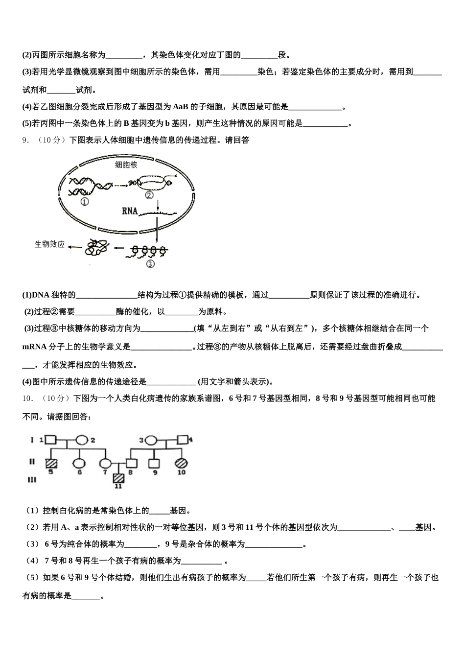 衡水中学2025年生物高一下期末学业水平测试模拟试题含解析_第3页