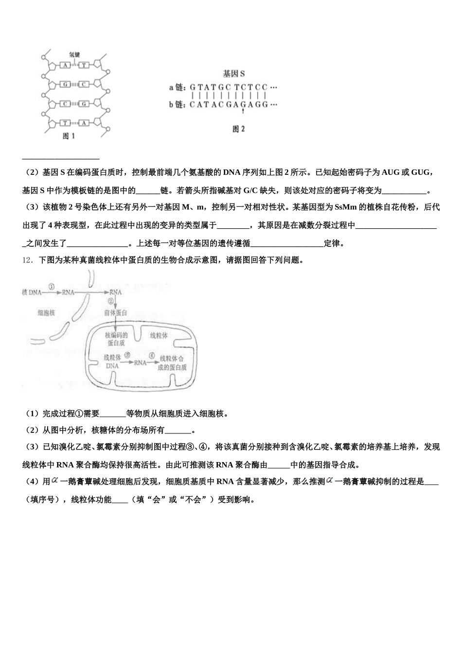 2024-2025学年河北省沧州盐山中学生物高一第二学期期末经典模拟试题含解析_第3页