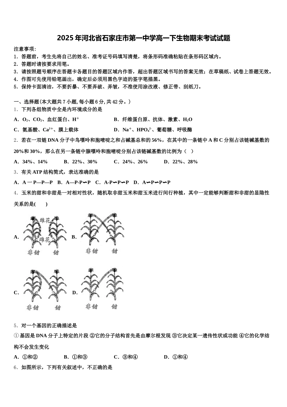 2025年河北省石家庄市第一中学高一下生物期末考试试题含解析_第1页