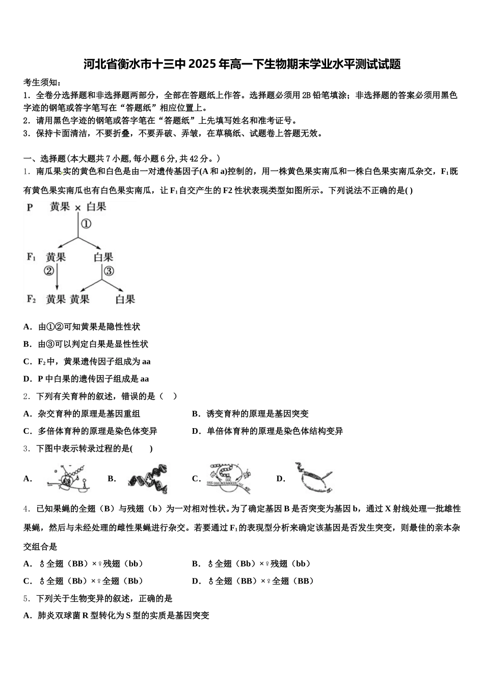 河北省衡水市十三中2025年高一下生物期末学业水平测试试题含解析_第1页