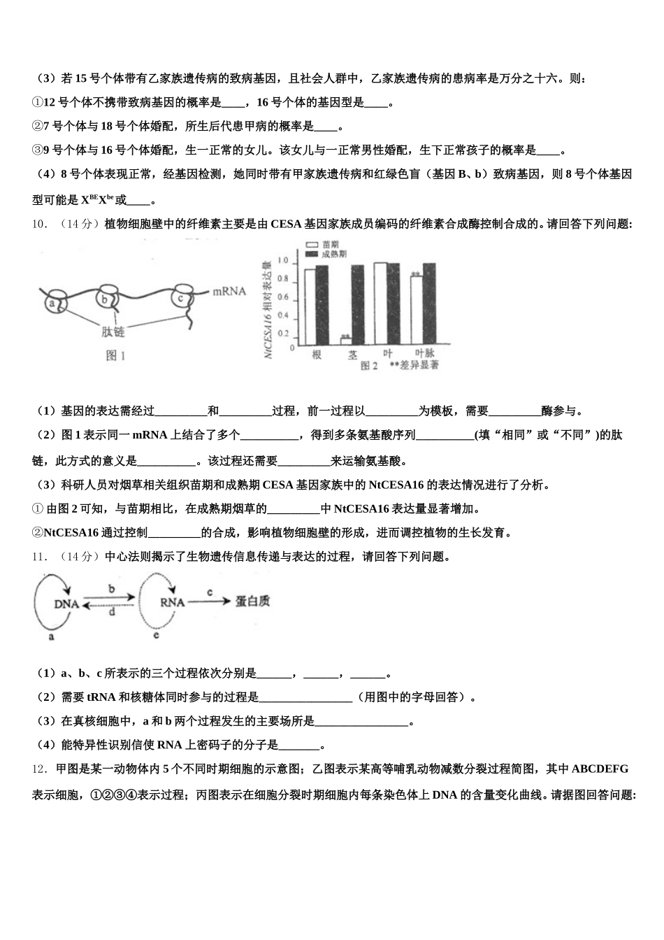 河北省衡水市十三中2025年高一下生物期末学业水平测试试题含解析_第3页