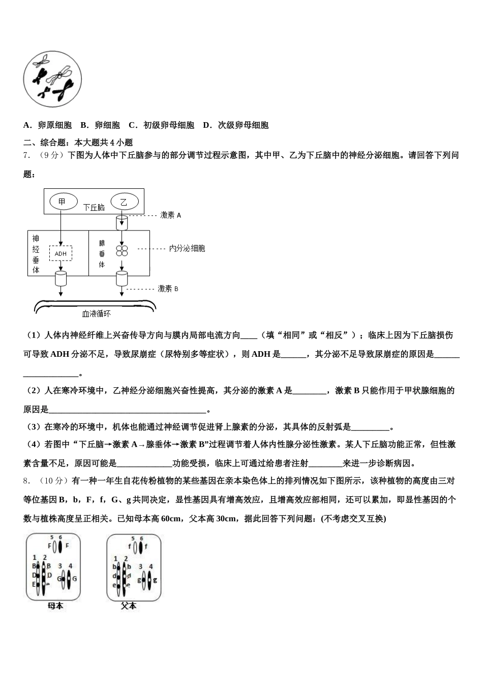 河北邯郸2025届高一生物第二学期期末复习检测试题含解析_第2页