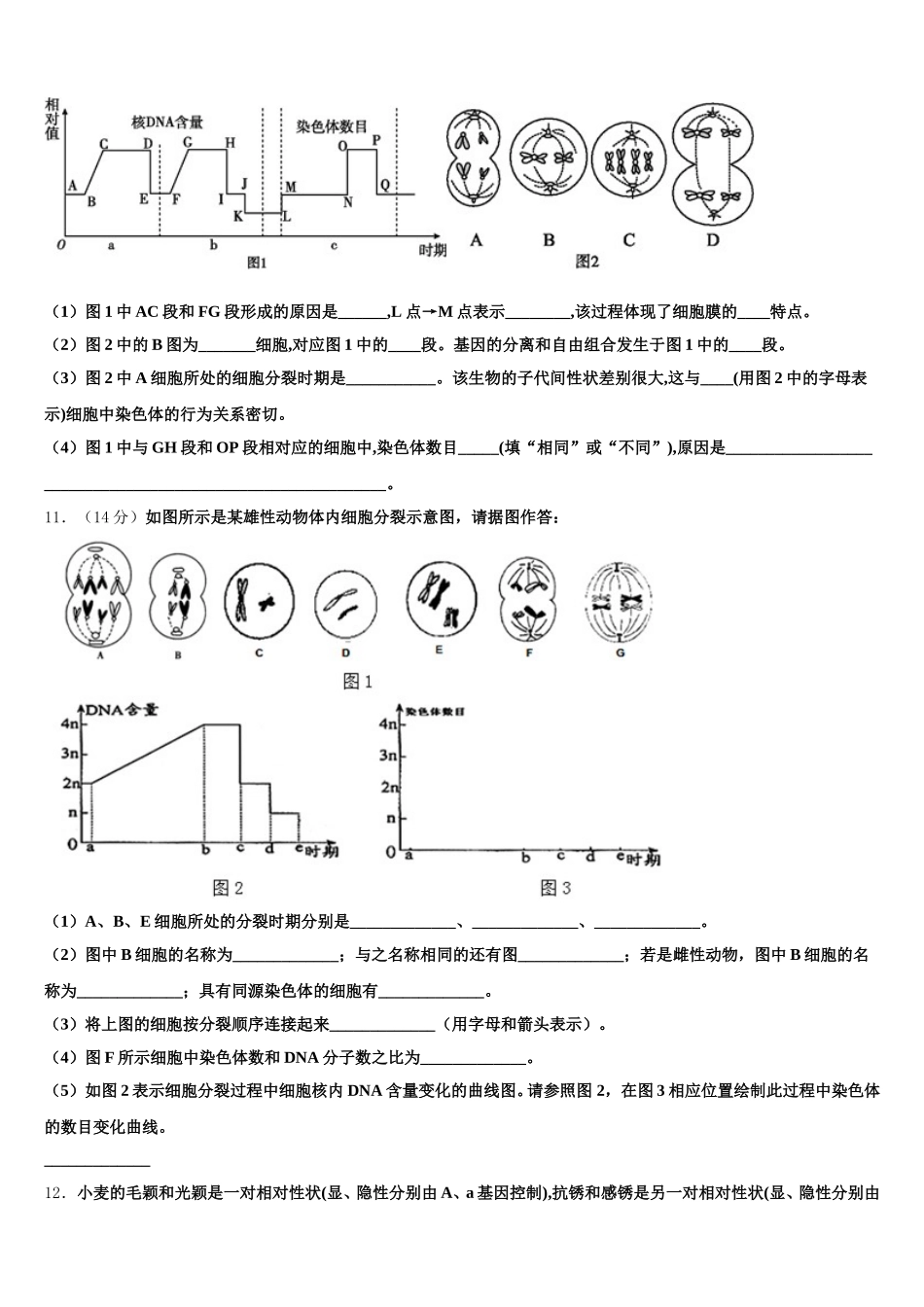 2025年河北省石家庄市行唐县三中生物高一第二学期期末统考模拟试题含解析_第3页