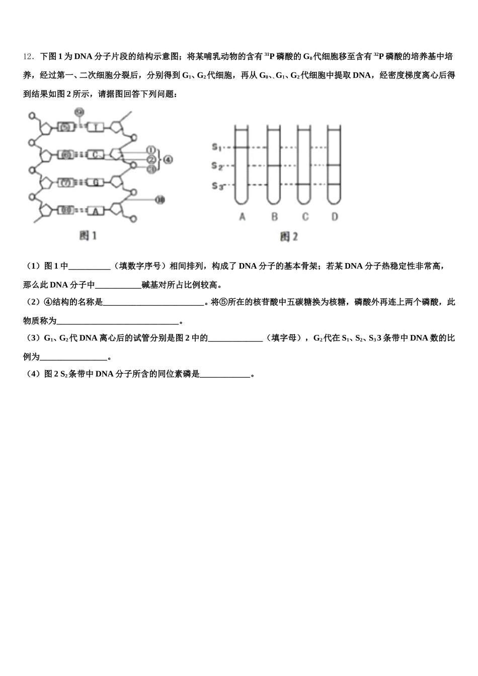 2025届河北省石家庄市河正定中学高一下生物期末学业水平测试模拟试题含解析_第3页