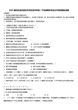 2025届河北省石家庄市河正定中学高一下生物期末学业水平测试模拟试题含解析