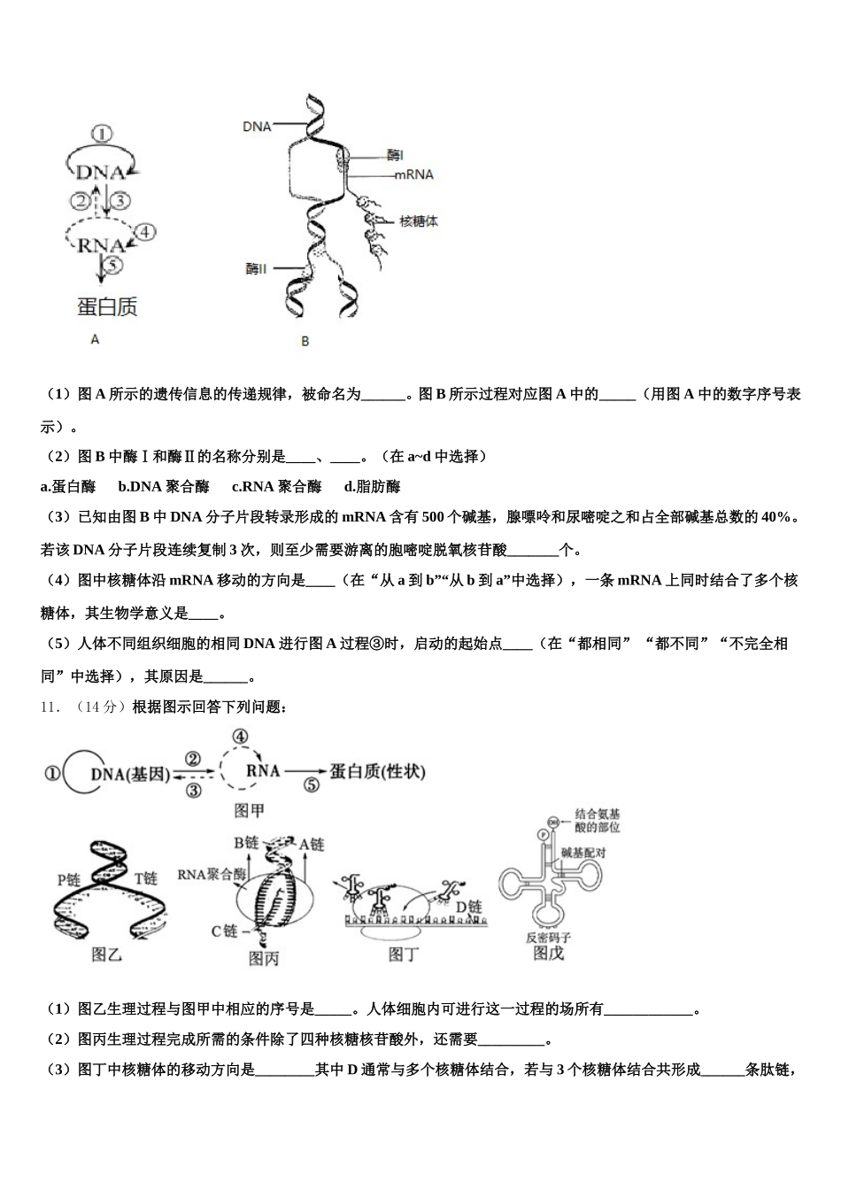 2025届河北省廊坊市高中联合体生物高一下期末达标检测模拟试题含解析_第3页