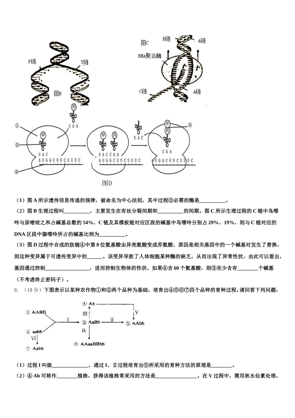 2025届河北省武邑中学生物高一下期末调研模拟试题含解析_第3页